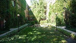Saccone.com